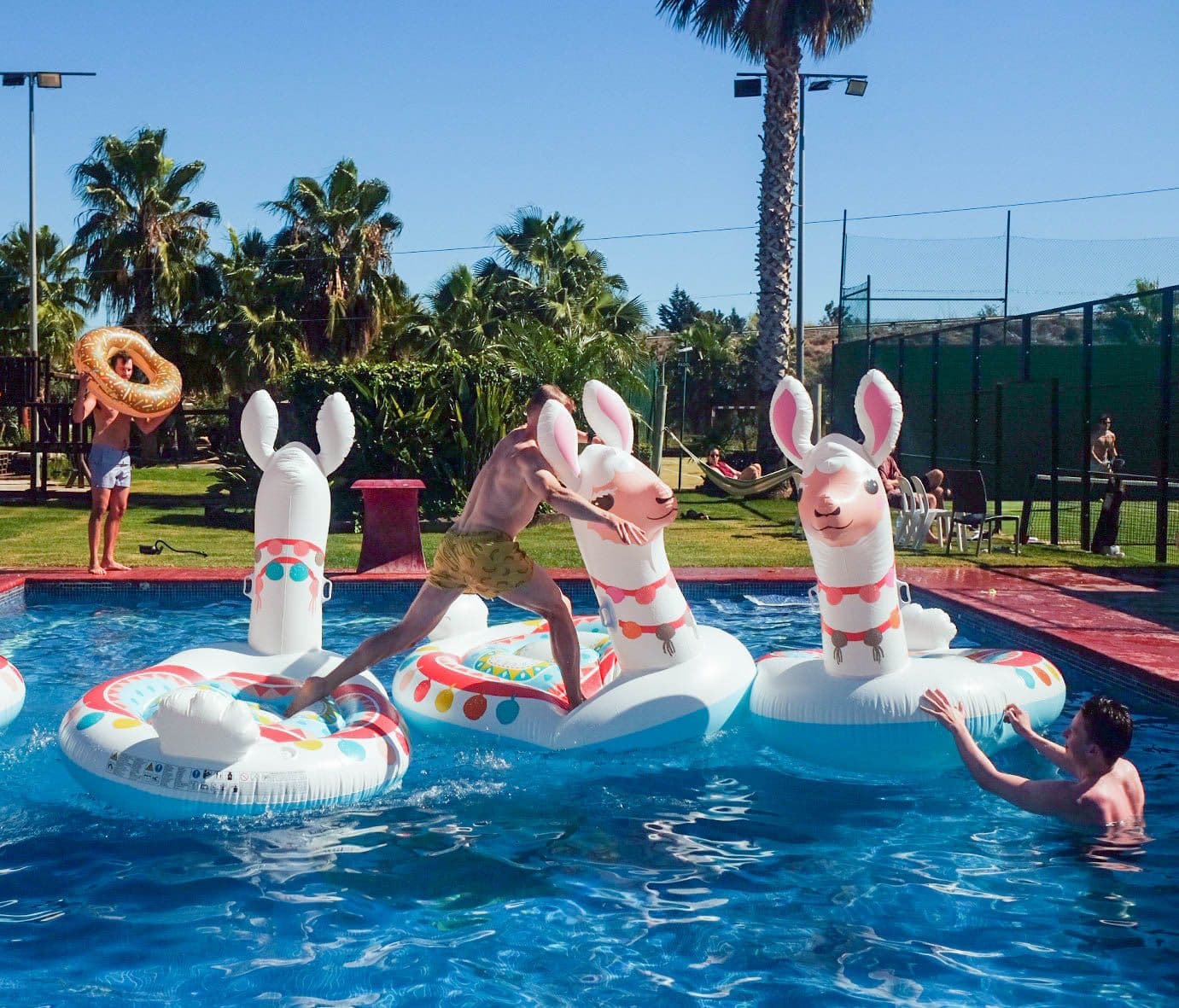 En kollega som løper over tre oppblåsbare lamaer i et badebasseng.